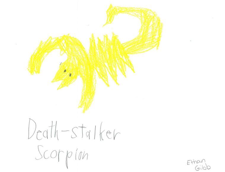 Ethan Gibb, grade 2, Parkside
